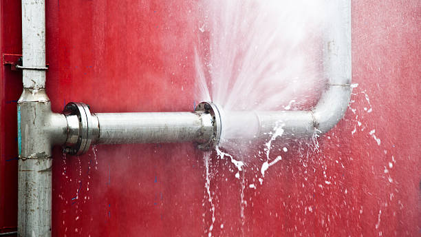 Best Carpet water damage restoration  in Rio Grande, NJ
