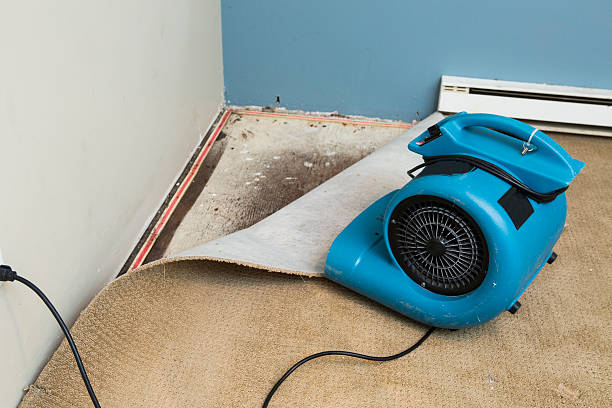  Rio Grande, NJ Water damage restoration Pros